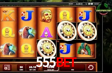 A Experiência Imersiva dos Cassinos Ao Vivo no 555bet